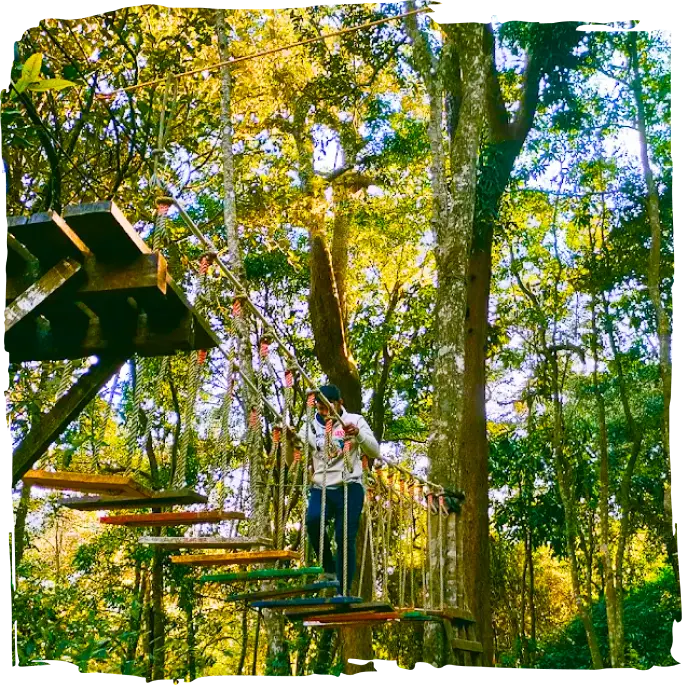 High Rope Course