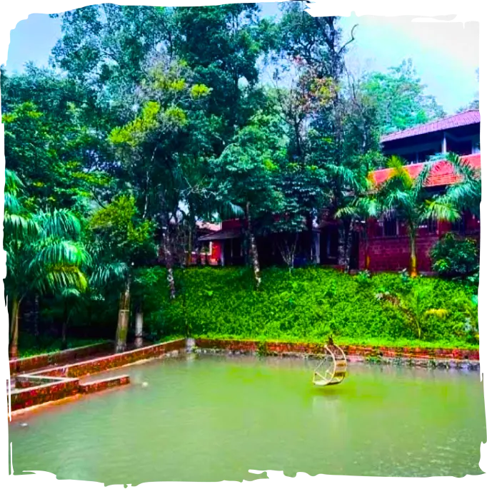 Natural Pond