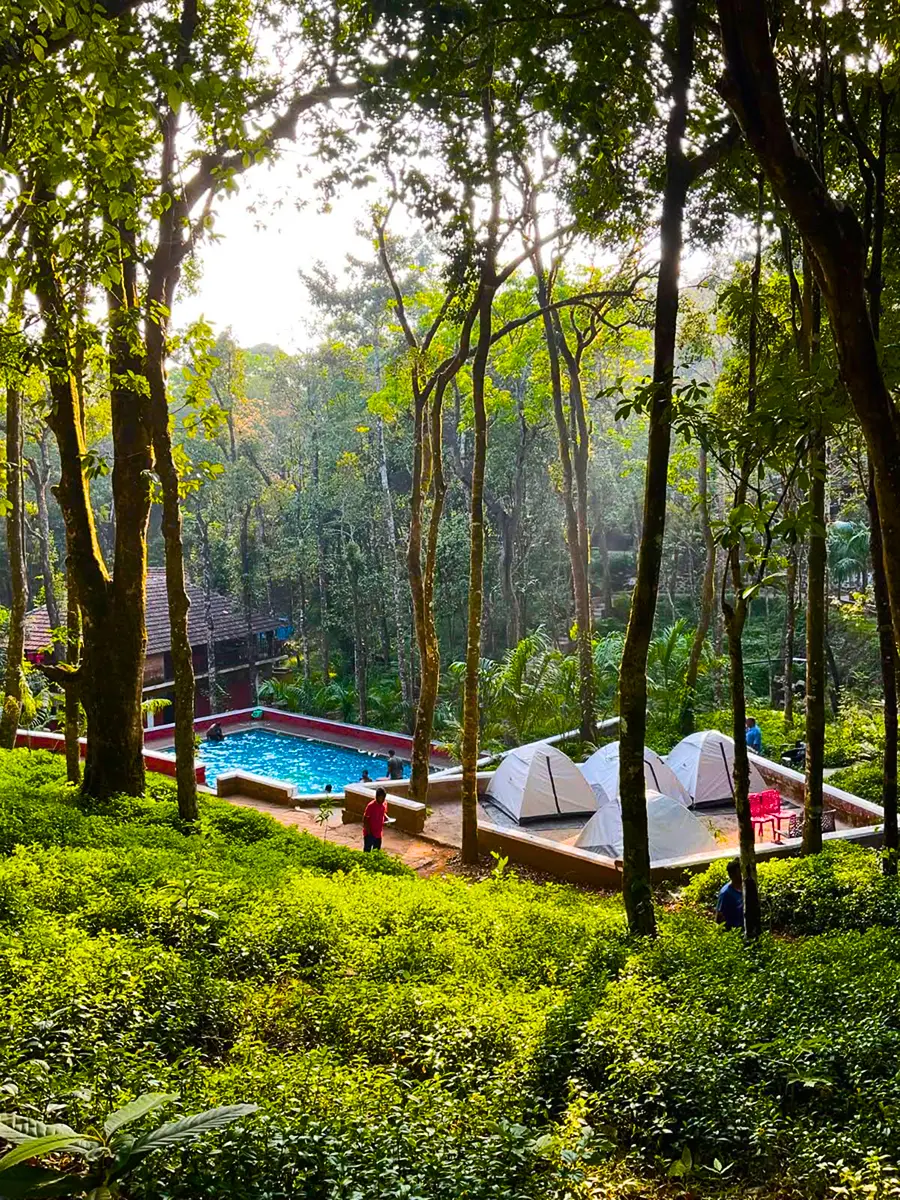 /images/gallery/swimming_pool7.webp