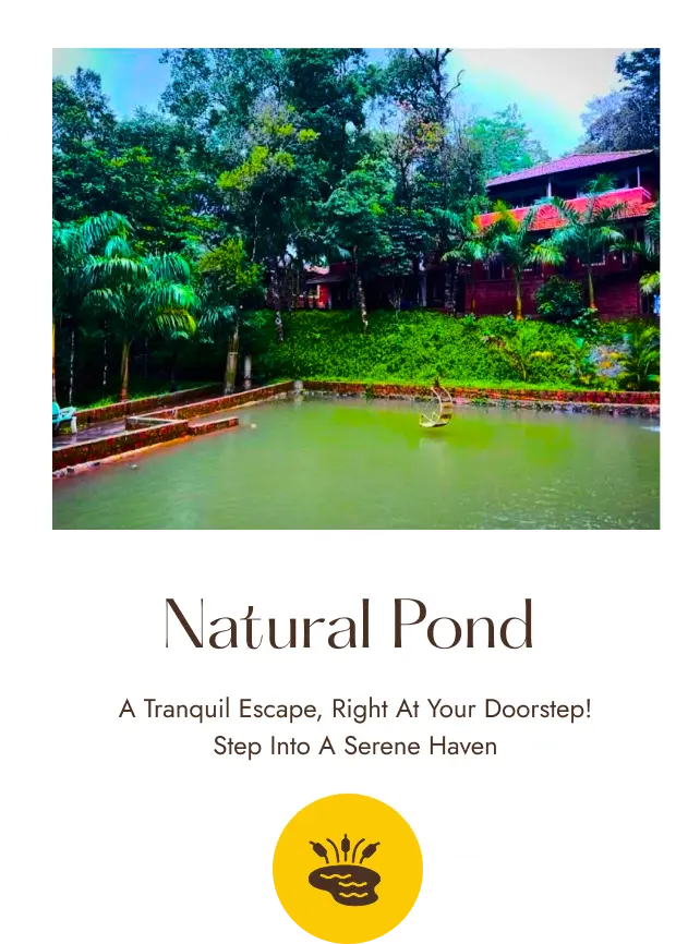 /images/highlights/natural_pond.webp